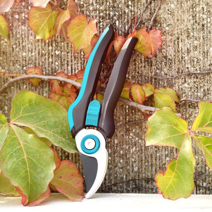 product-1-1 small pruner