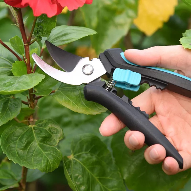 bypass pruner