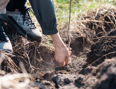 Passi tal-logħob biex Ħaffer permezz tal-Għeruq