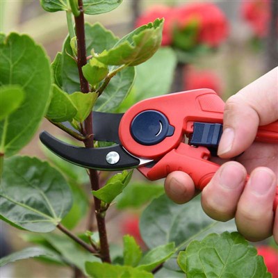 Pruners Żgħar Ittrasforma l-Ġnien Tiegħek