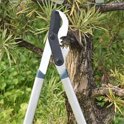 L-Aqwa Għodda taż-Żbir Fergħat Huwa Bypass Loppers
