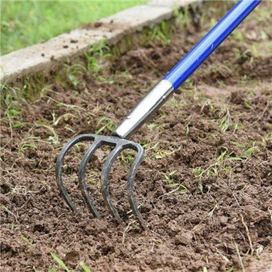 4 Prong Cultivator Long Handle Tool scene