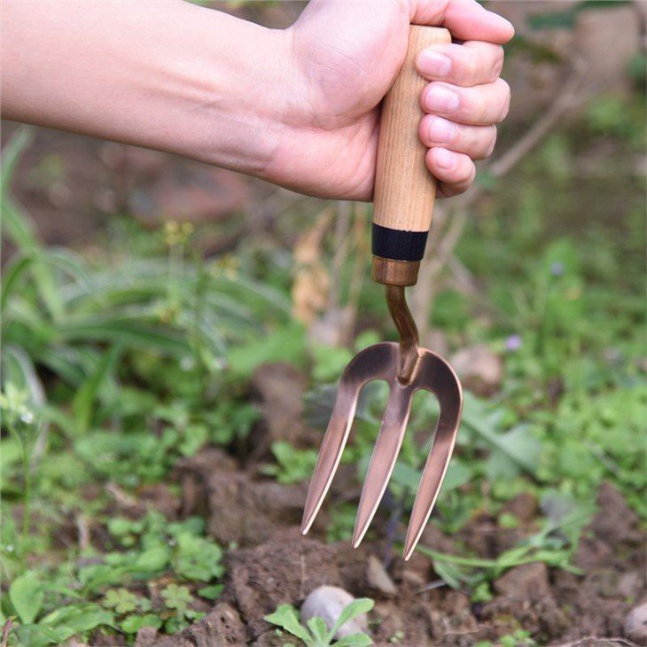 Stainless Steel Garden Hand Fork