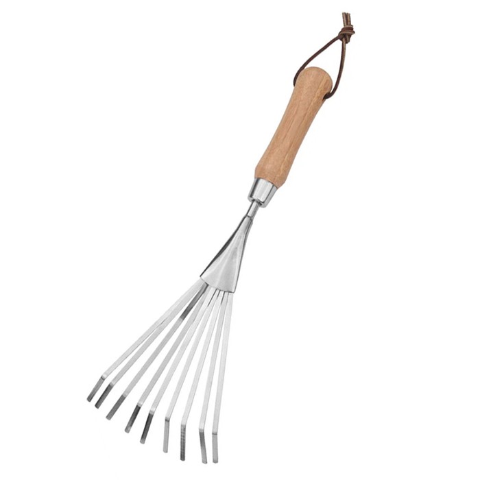 Rake tal-fann tal-idejn