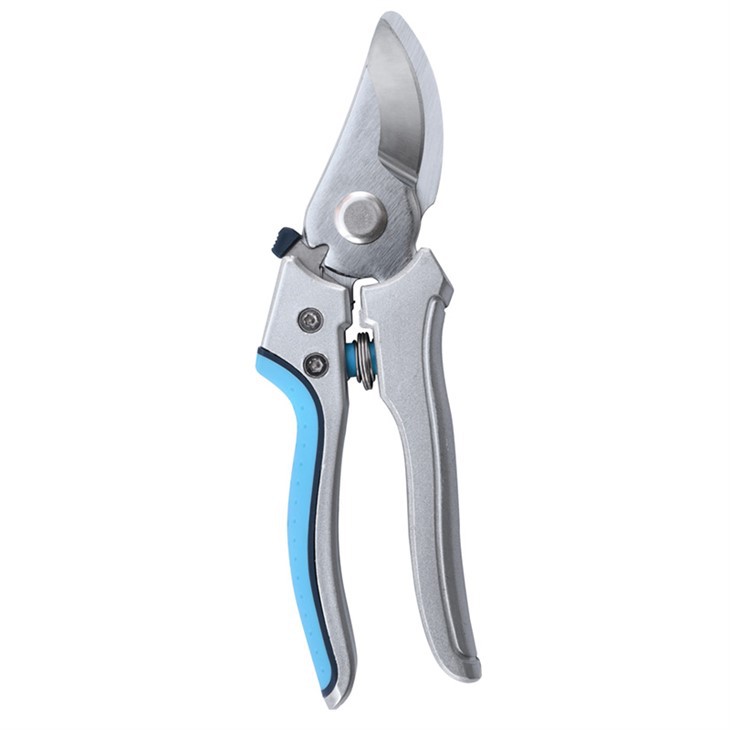 Ġliem ta 'Żbir ta' Kwalità Għolja