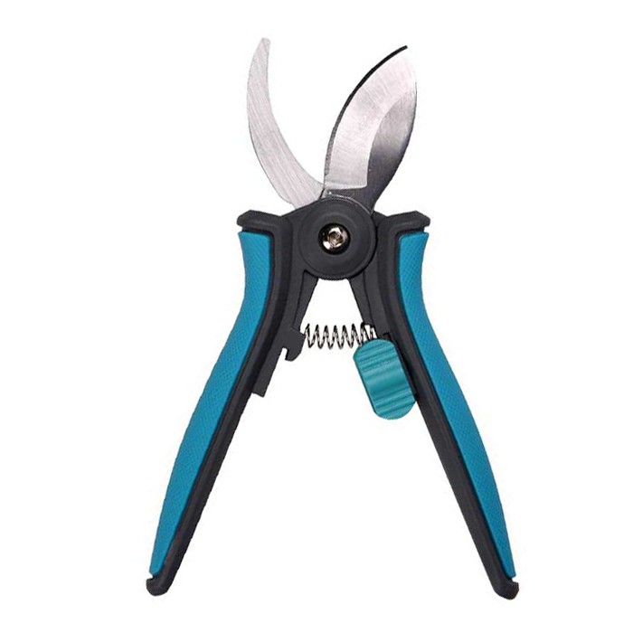 Pruner tal-pjanti tad-dar