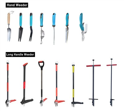 Tikkoltiva l-Ħodor: Tħaddan is-Sostenibbiltà fil-Ġnien Tiegħek