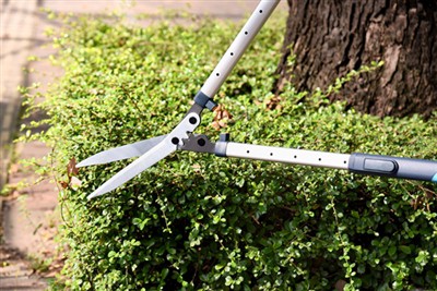 Il-Gwida tal-Kura tal-Shear tal-Hedge Ultimate: Estendi l-Ħajja tal-Għodda u ...