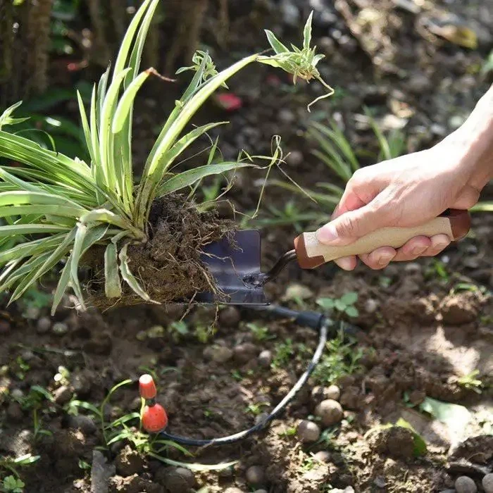 Wheatchaw Garden Hand Trowel Wheatchaw Garden Hand Trowel